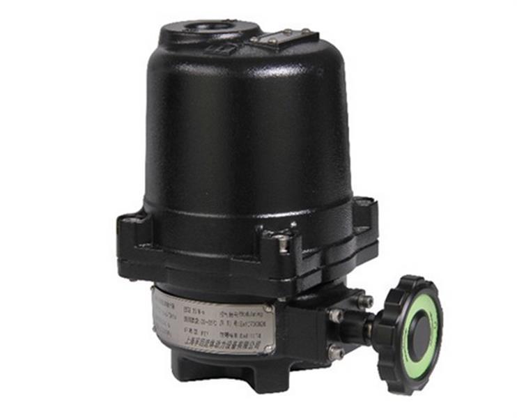 Motorized Actuator